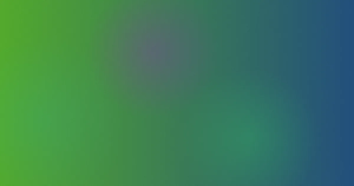beargay对比：一次选择复盘